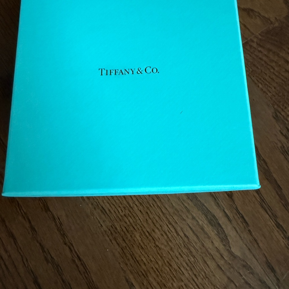 Tiffany & Co. Turquoise Gift Box